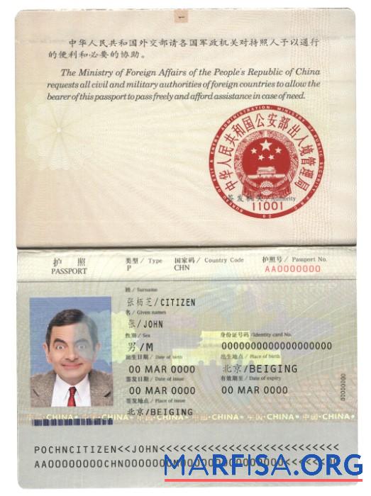 Downloadable China passport (2007 2009) example